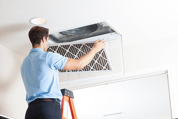 Best Local HVAC companies  in Samsula Spruce Creek, FL
